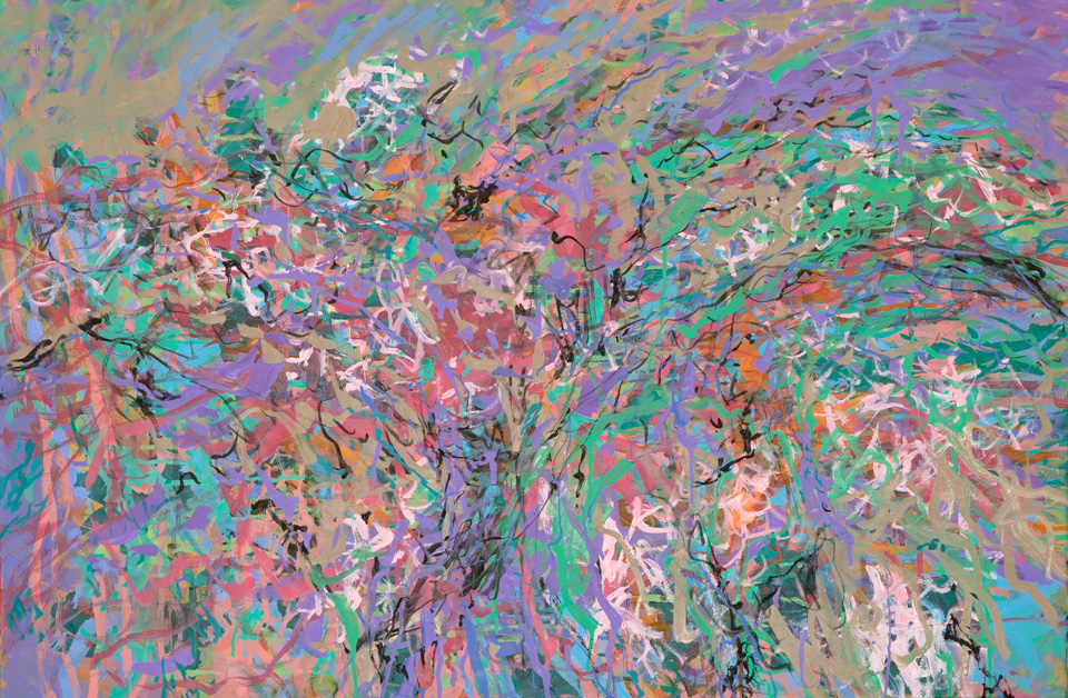  Betsy Snodgrass Spread near Tombstone, AZ #7 is an original oil on canvas painting measuring 24 � 36 inches, completed in 2018 by American Expressionist Landscape painter Bud Holman.