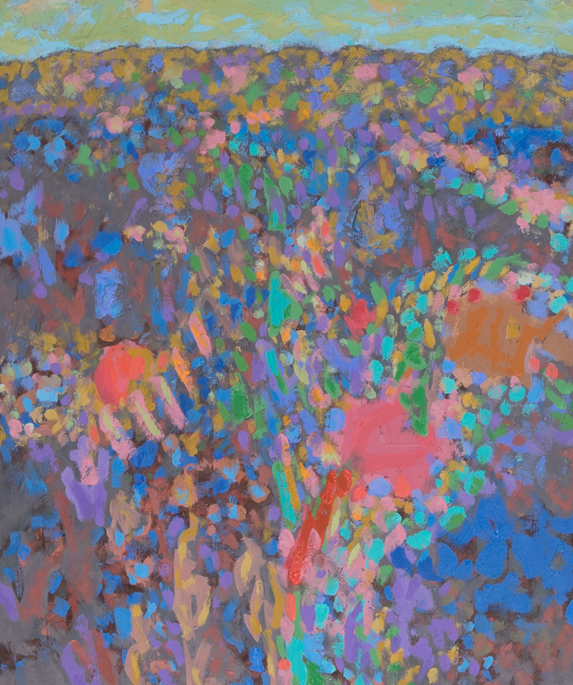 Catalina Spring #5