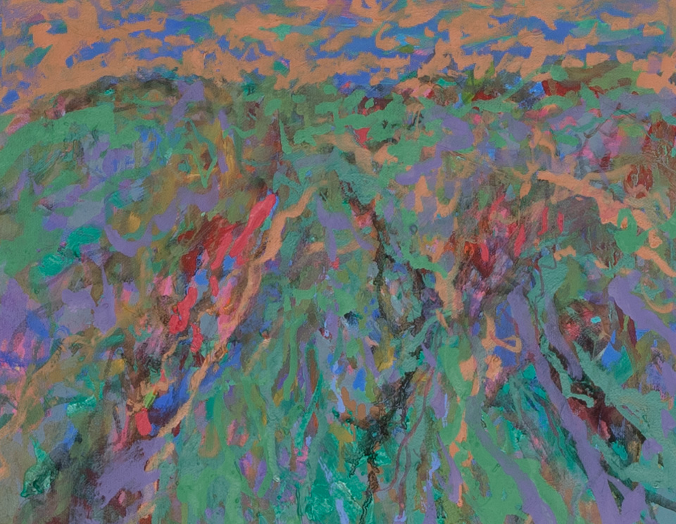 Landscape, Oracle, 2015
