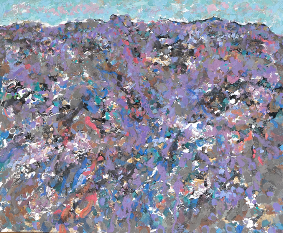 Tucson #13