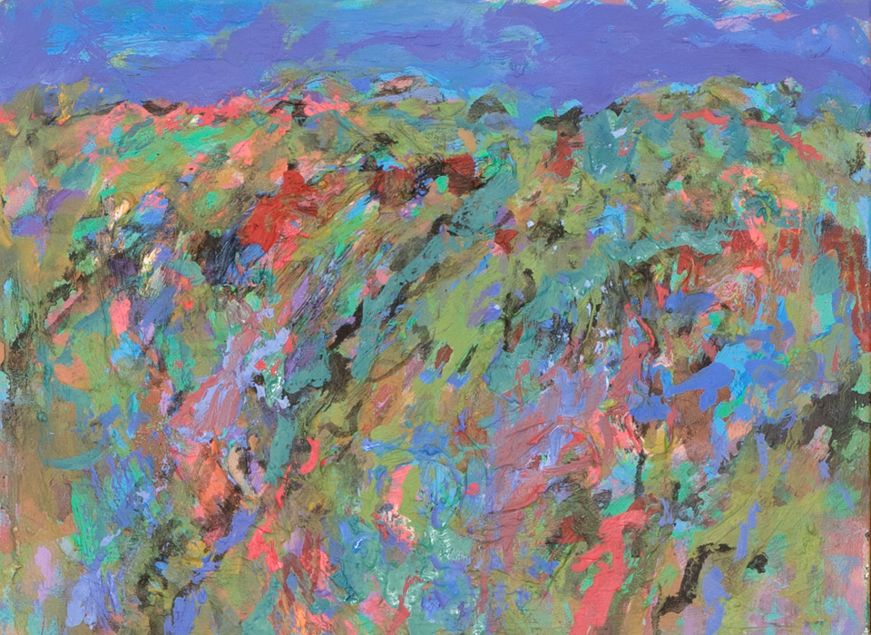 Tumacacori, 2015