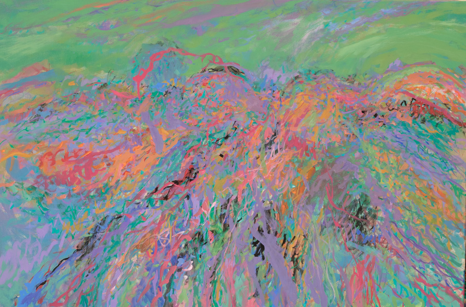 Chuparosa Landscape #10