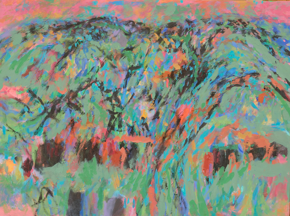 Rancho Santa Cruz #8, 2016