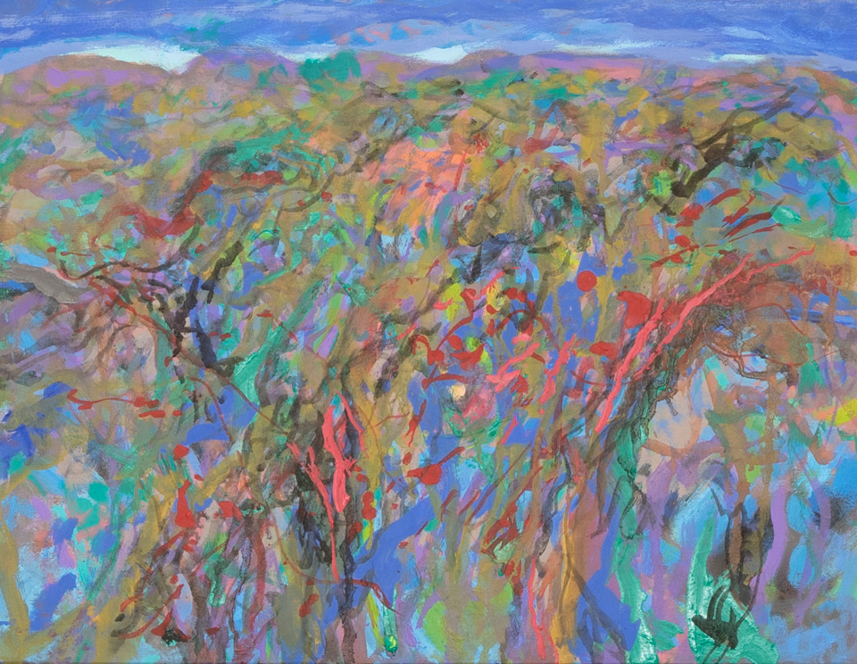 Indian Smoke Hills #4