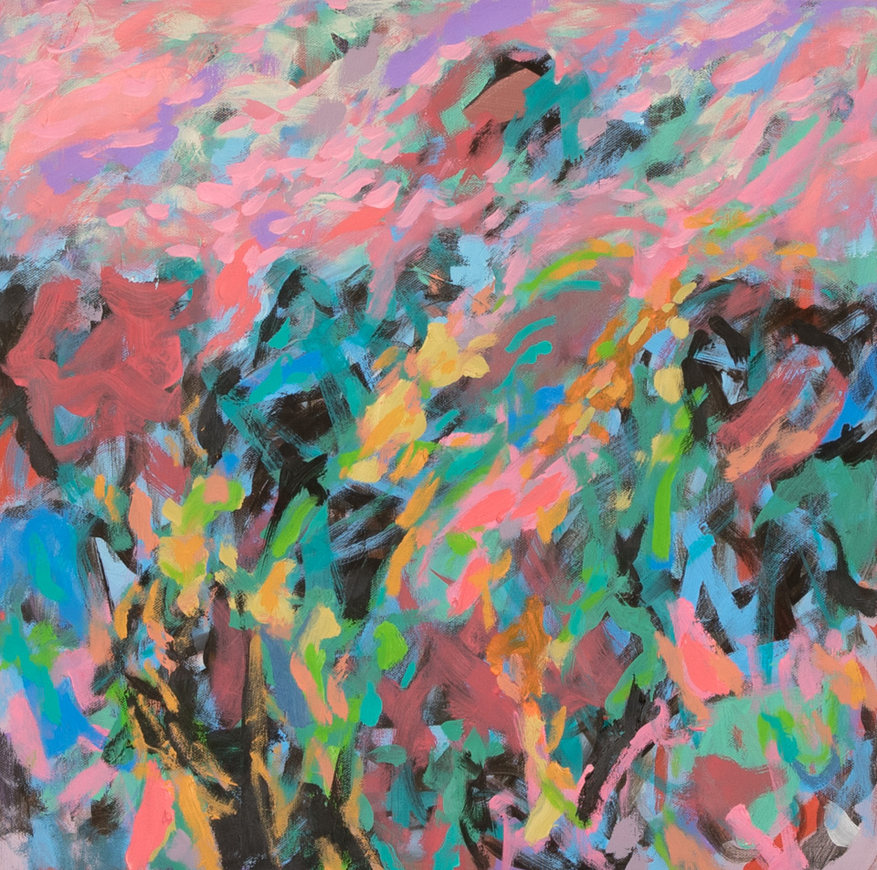 Tucson #20